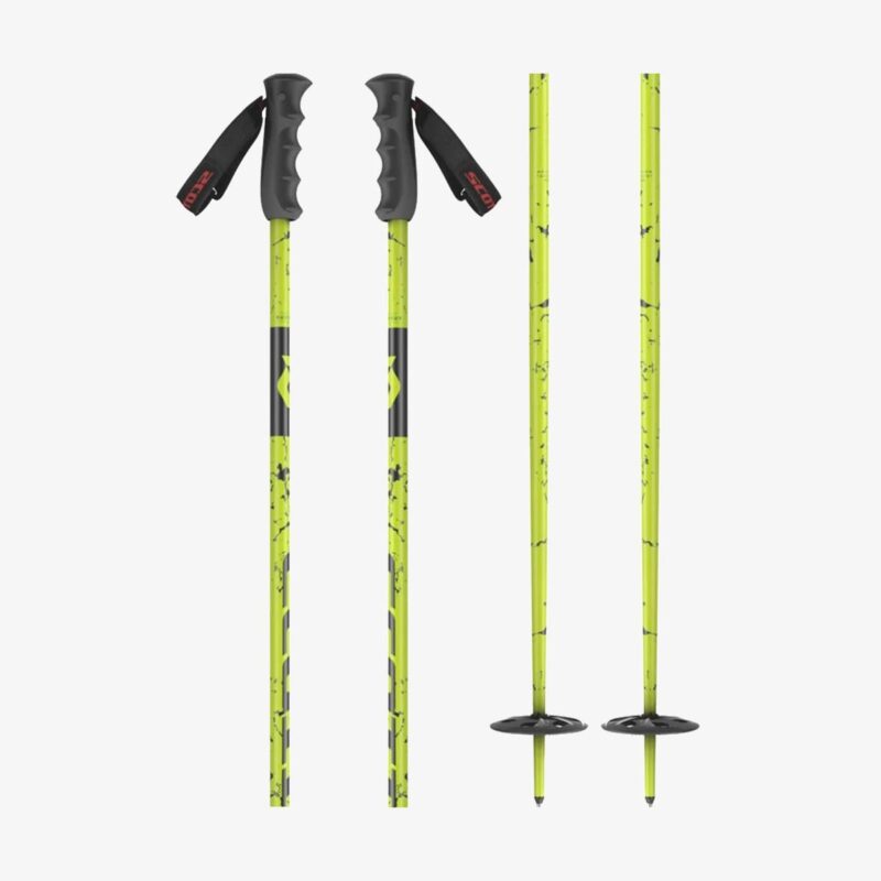 ski-poles-adult